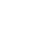 logo icon